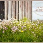 DIY Natural Air Freshener - All Natural, Chemical Free