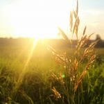 Sneaky Vitamin D Deficiency - FlusteredMom.com Why it's so common. How to treat it.