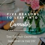 Five Reasons to Leap Into the Cannabis Industry