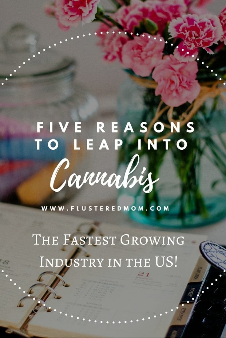 Five Reasons to Leap Into the Cannabis Industry