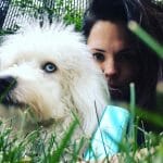 Vaporizer for concentrates - pax 3