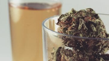 A comparative risk analysis conducted in 2015, concluded that cannabis is 114 times less deadly than alcohol.