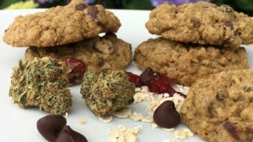weed cookies - potent weed edibles