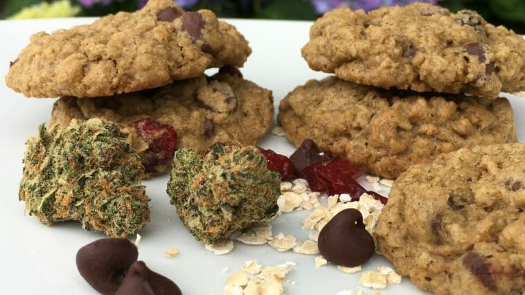 weed cookies - potent weed edibles