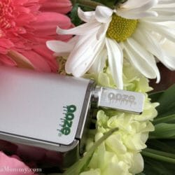 Duplex Vaporizer for Cannabis Extracts 2