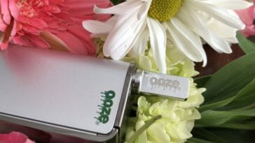 Duplex Vaporizer for Cannabis Extracts 2