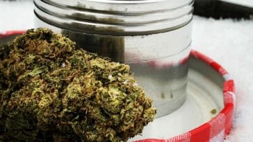 Can cannabis help leukemia?