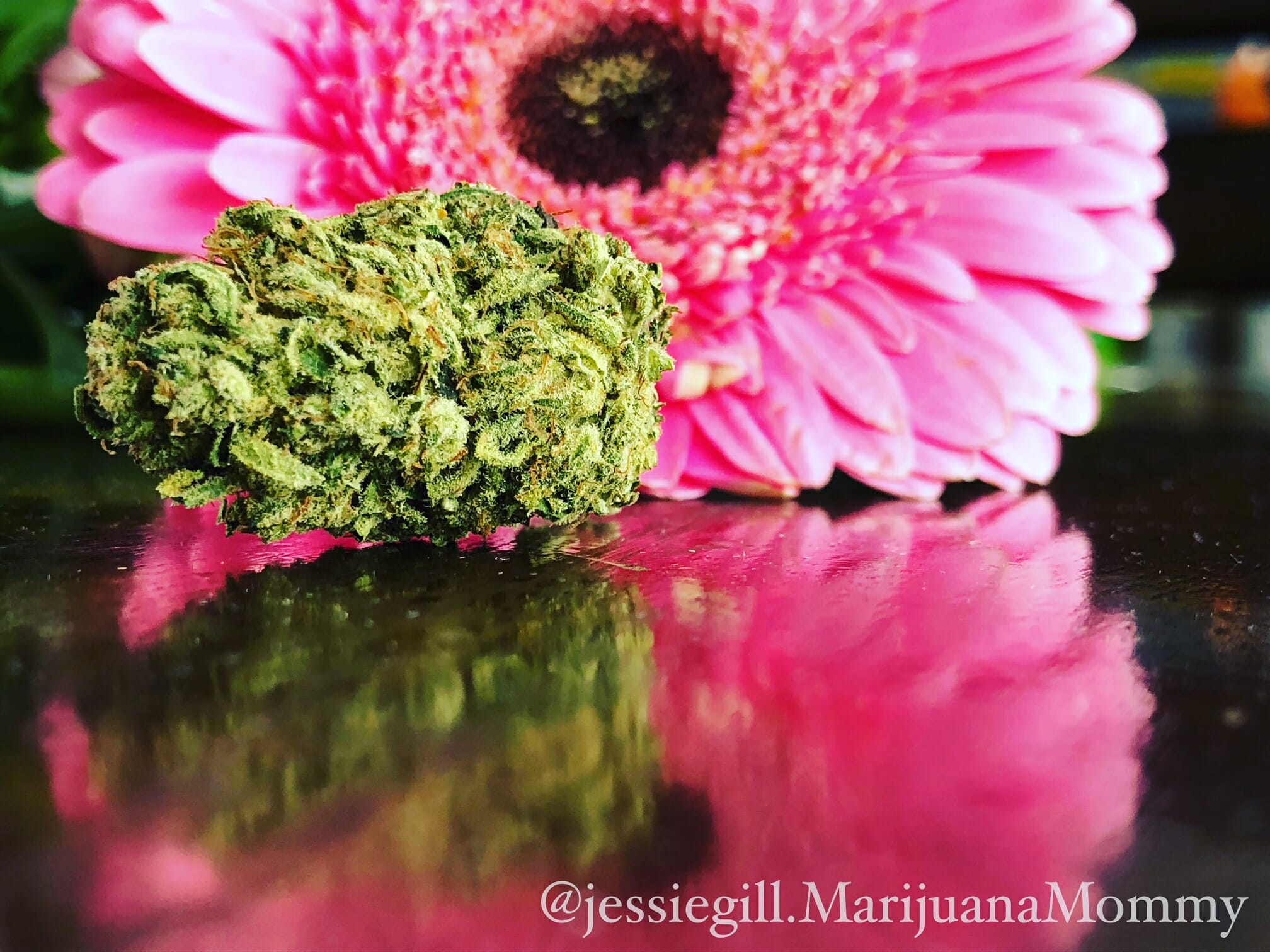 cannabis is a powerful all natural pain reliever