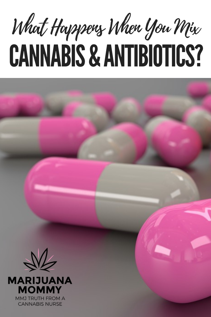 Does Cannabis Interact with Antibiotics?