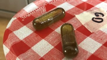 how to make a small batch of cannabis coconut oil pills 2