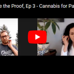 patients are the proof - cannabis for pain -with Danny Sloat