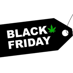 black friday sales and cyber monday sales in the cannabis industry