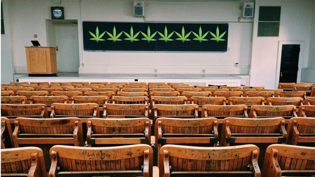 Cannabis classroom
