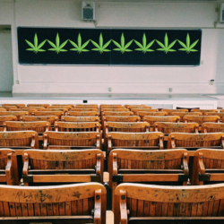 Cannabis classroom
