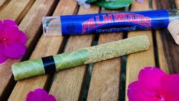 Using CBD to Quit Smoking