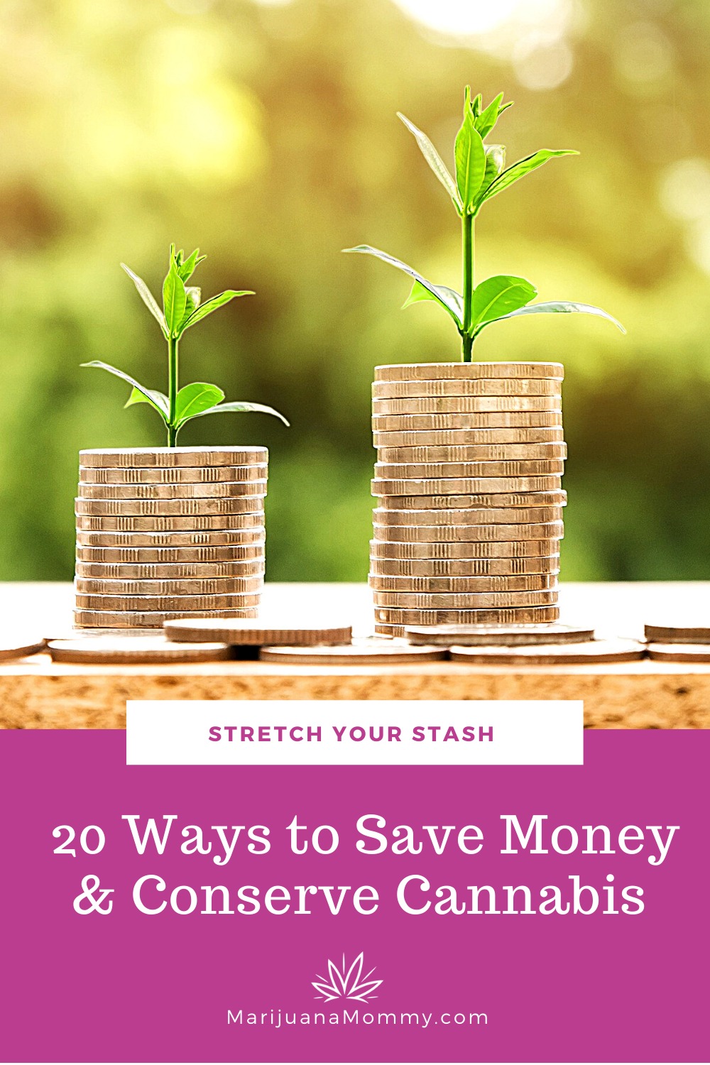 Stretch Your Stash - 20 Ways to Save Money and Conserve Cannabis