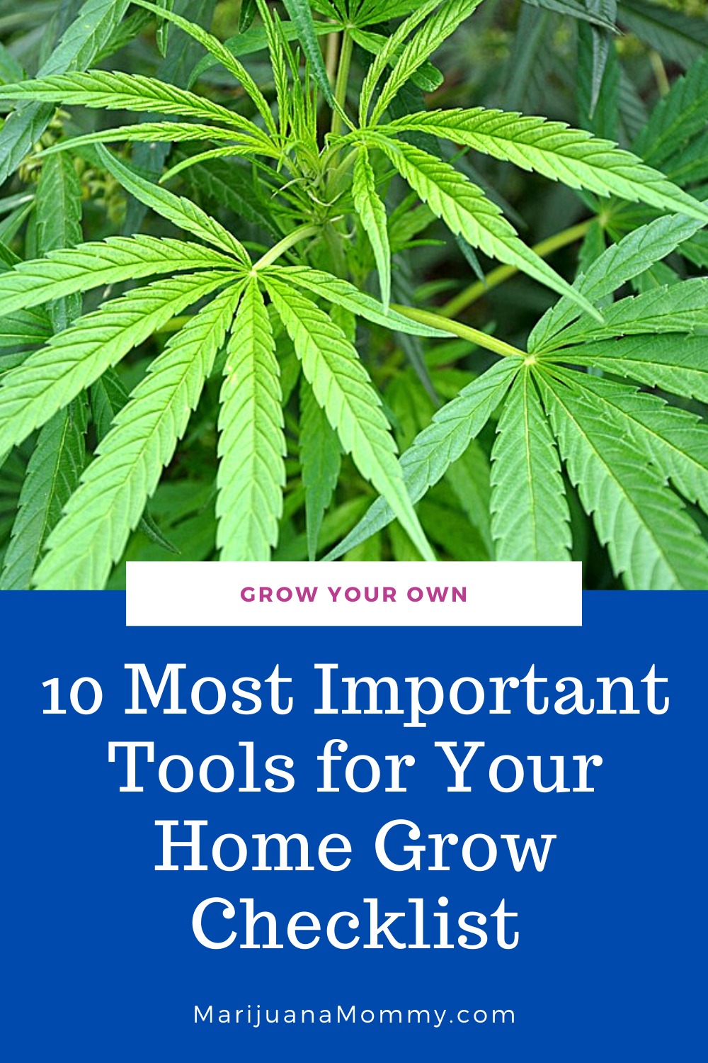 10 Important Tools You Need to Start Growing Cannabis At Home
